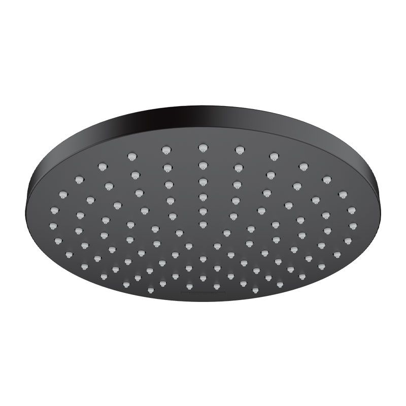 Hansgrohe Vernis Blend Kopfbrause