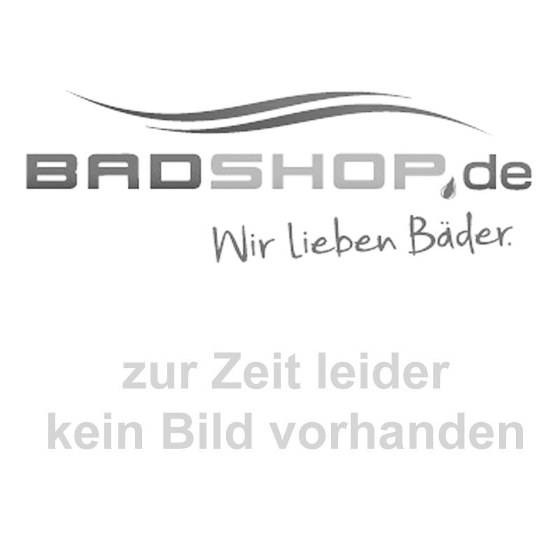 Avenarius Shower Brausehalter Brausewandhalter
