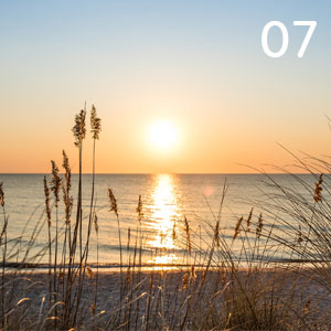 Motiv: Dünensonne